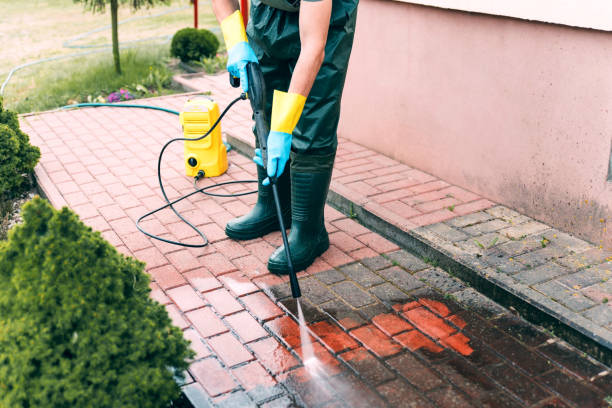 Best Building Exterior Washing  in Willow Grove, TX