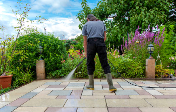 Reliable Willow Grove, TX Pressure Washing Services Solutions